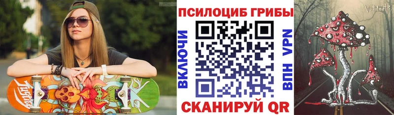 купить Отрадное Псилоцибиновые грибы GOLDEN TEACHER